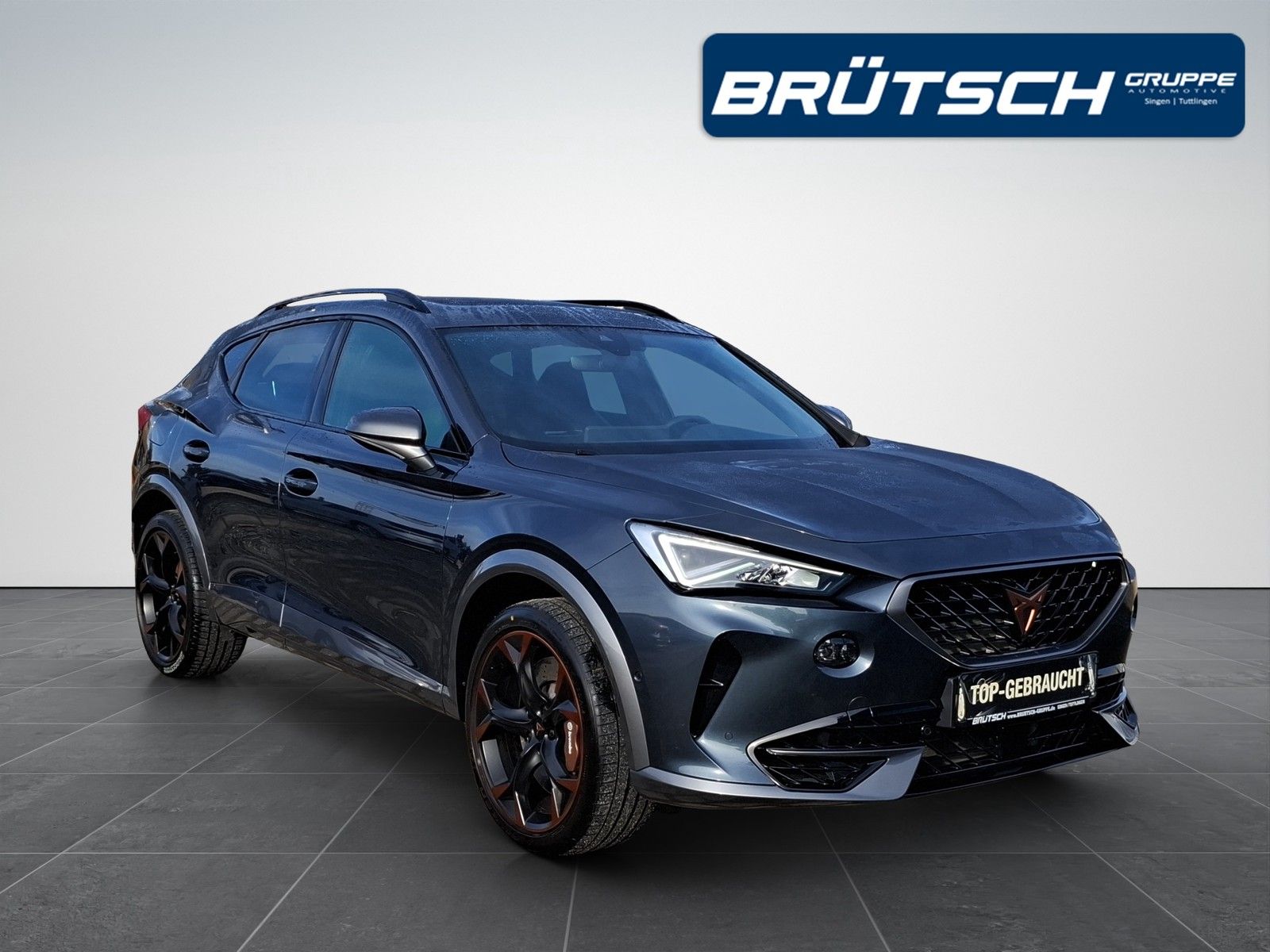 Cupra Formentor 2.0 TSI VZ 4Drive DSG / LEDER / AHK /