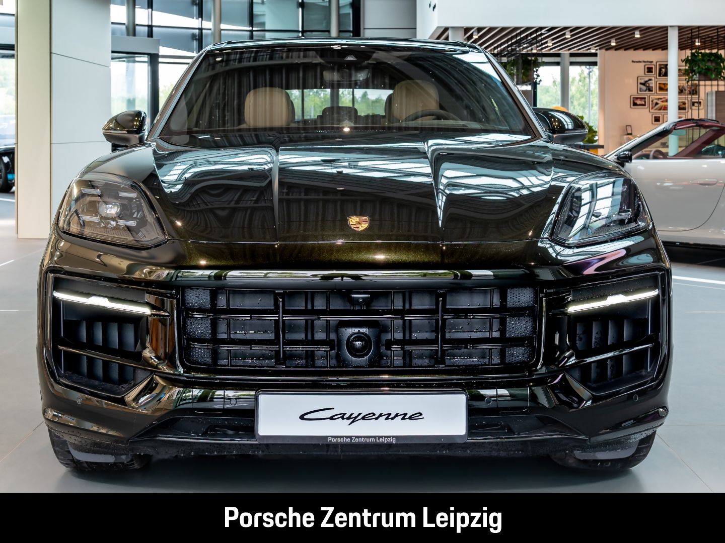Porsche Cayenne E-Hybrid Dunkelolive Massage Sportabgas