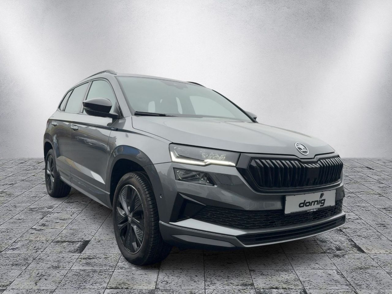 Skoda 4x4 DSG,AHK,LED,SHZ