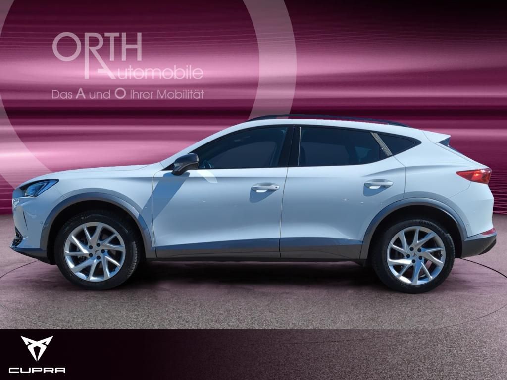 Cupra Formentor 2.0 TDI DSG 4DRIVE - Samsaru's Car Outlet