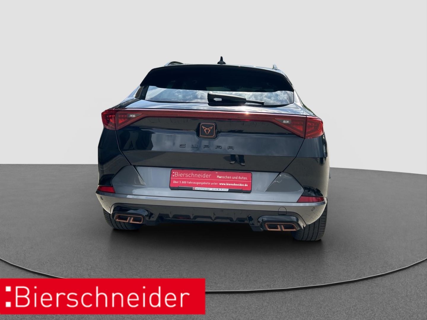 Cupra Formentor 1.4 e-Hybrid DSG VZ ab mtl. 199,- Euro