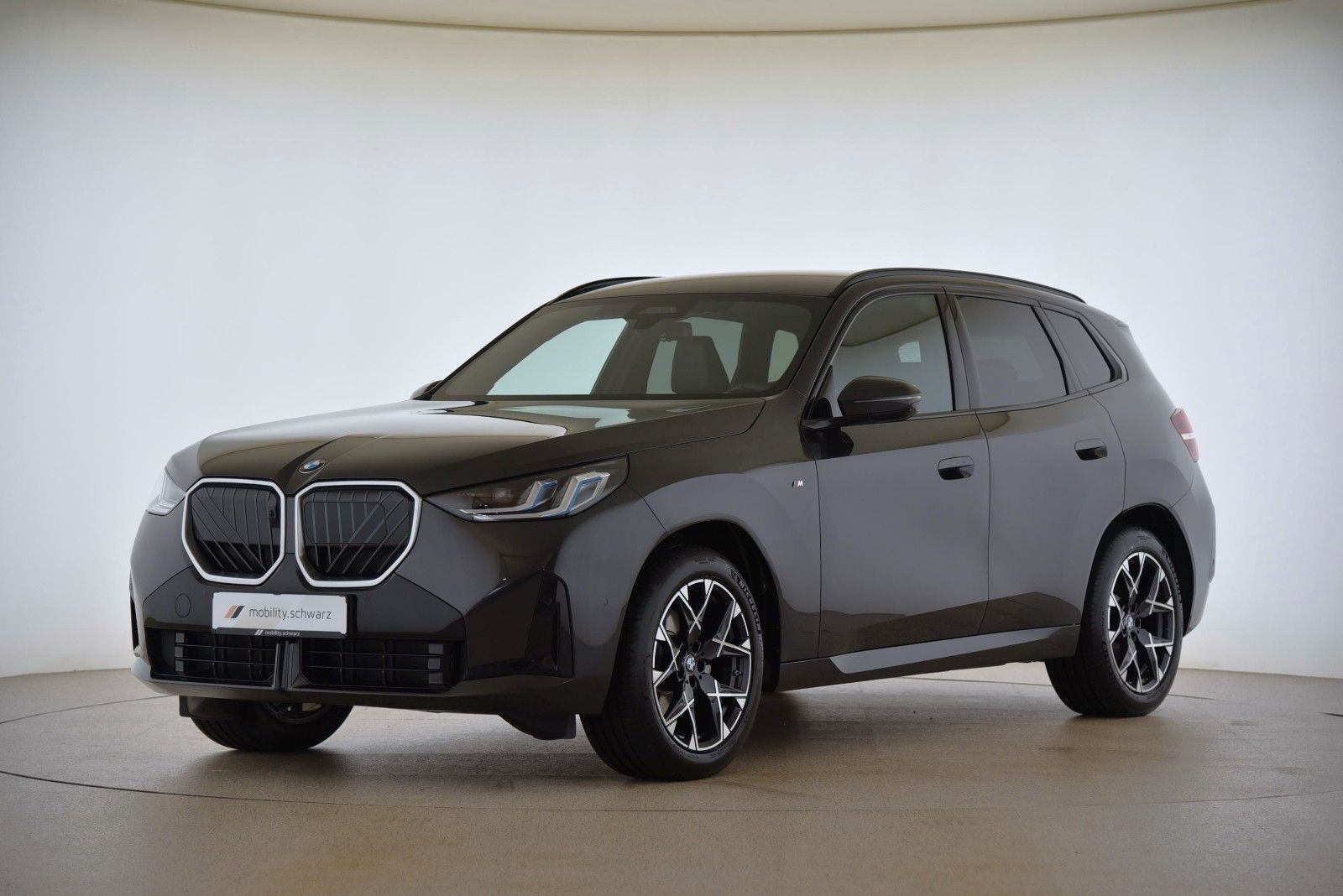 BMW X3 20d xDrive M Sport ParkAss DriveAss LED AHK