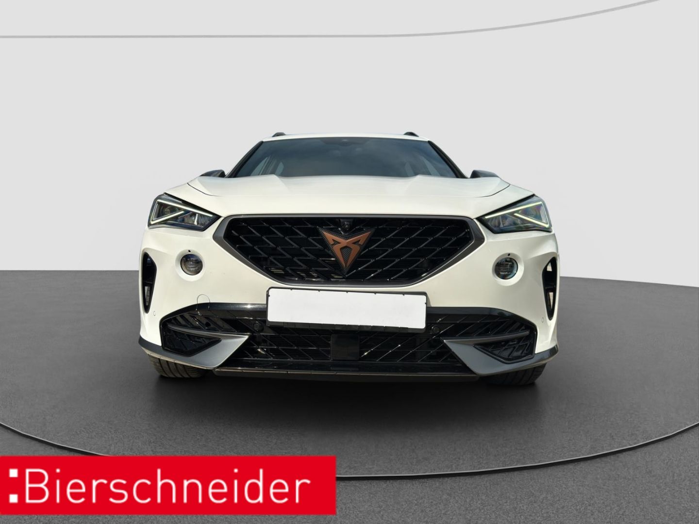 Cupra Formentor 1.4 e-Hybrid DSG VZ AHK KAMERA LED NAV