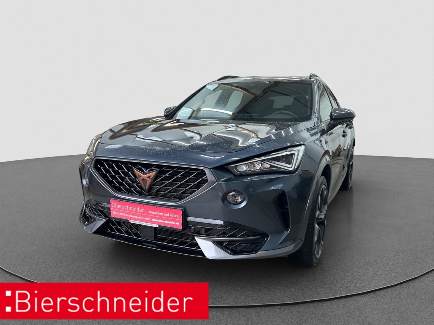 Cupra Formentor 2.0 TSI DSG 4Drive VZ ab mtl. 199,- PA