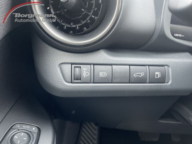 Toyota C-HR Team D 1.8 Hybrid Apple CarPlay - Rückfahrk