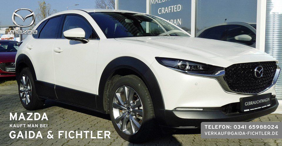 Mazda CX-30 e-SKYACTIV G 140 PS Automatik Takumi Leder