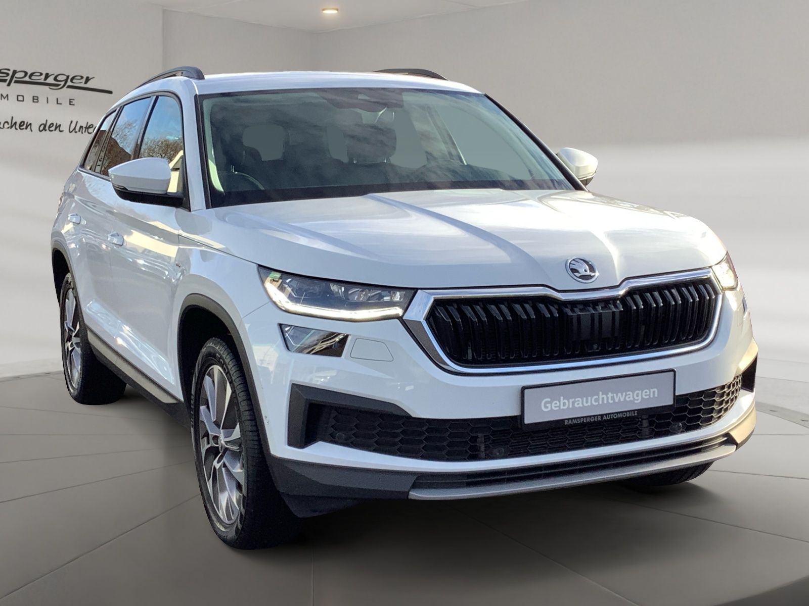 Skoda Kodiaq 2.0 TDI DSG Clever 4x4 AHK Matrix Standh.