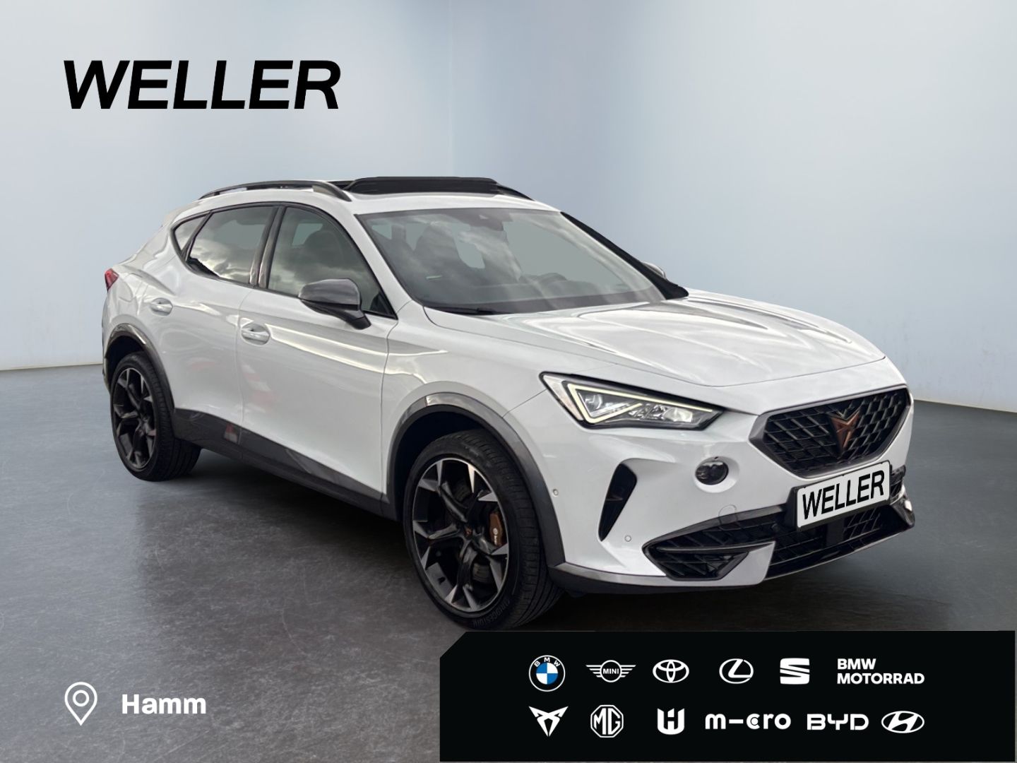 Cupra Formentor VZ 2.0 TSI 4Dr DSG *AHK*BREMBO*Leder*