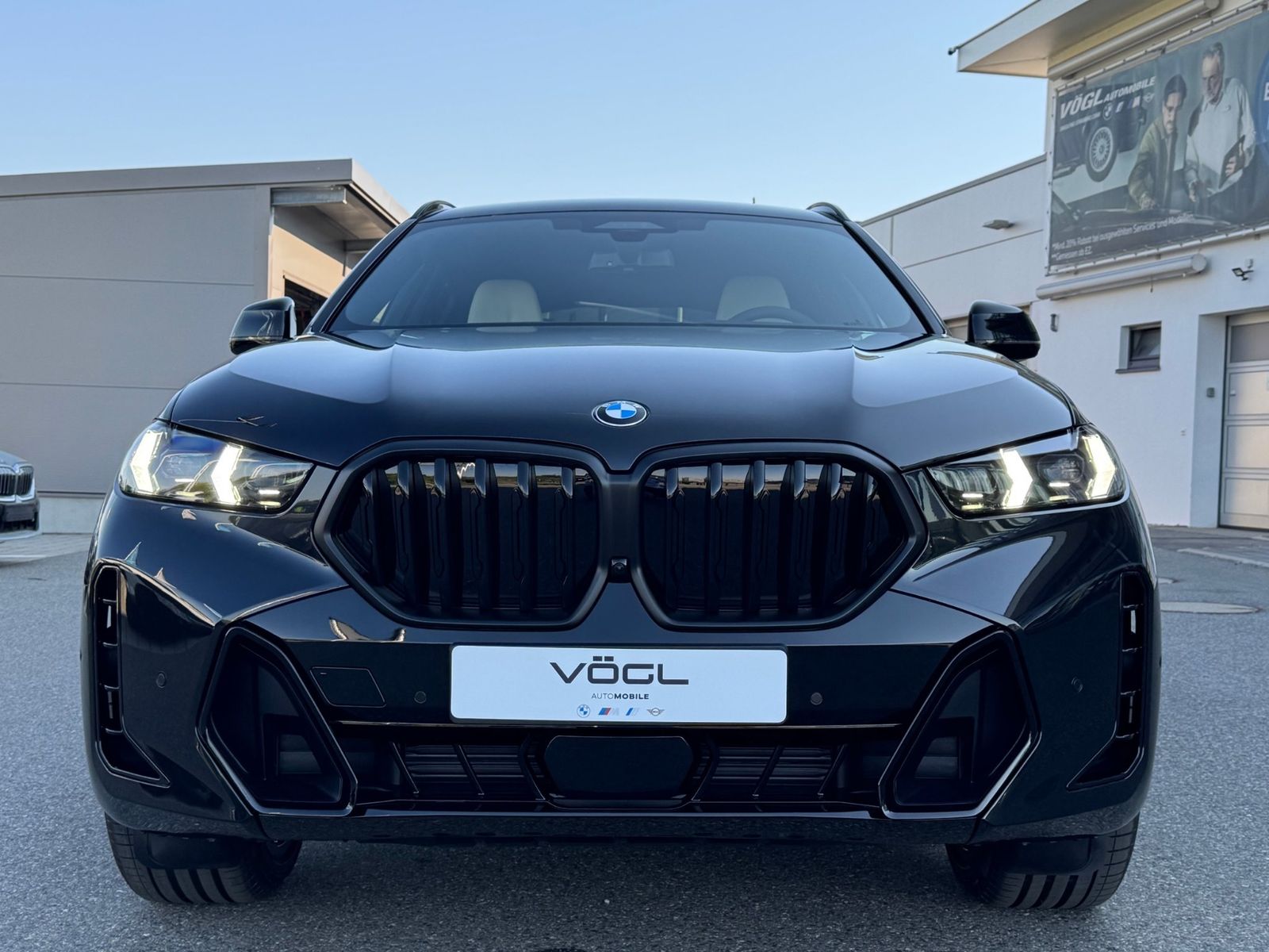 BMW X6 xDrive40d M Sport Harman/Kardon Niere Iconic