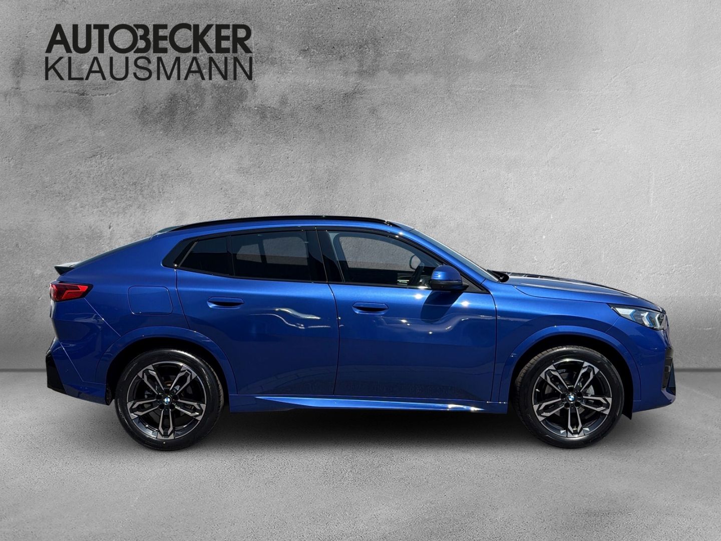 BMW X2 xDrive20d M SPORT 19''LC PROF HuD AHK ACC 360