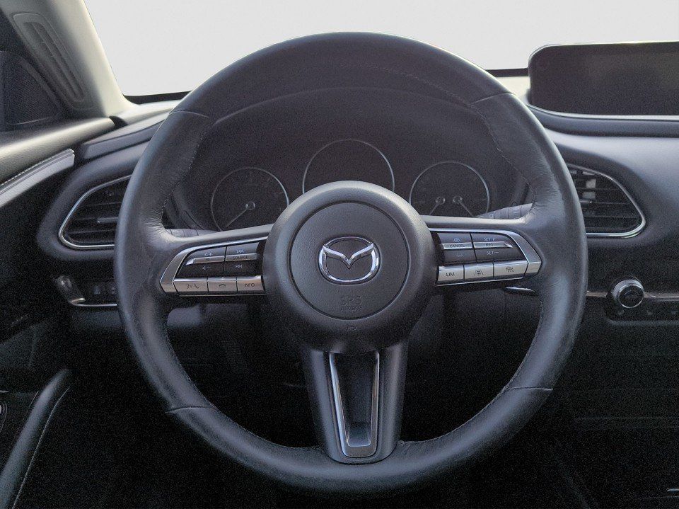 Mazda CX-30 SELECTION+PREMIUM+BOSE+360KAM+TEMP+SHZ