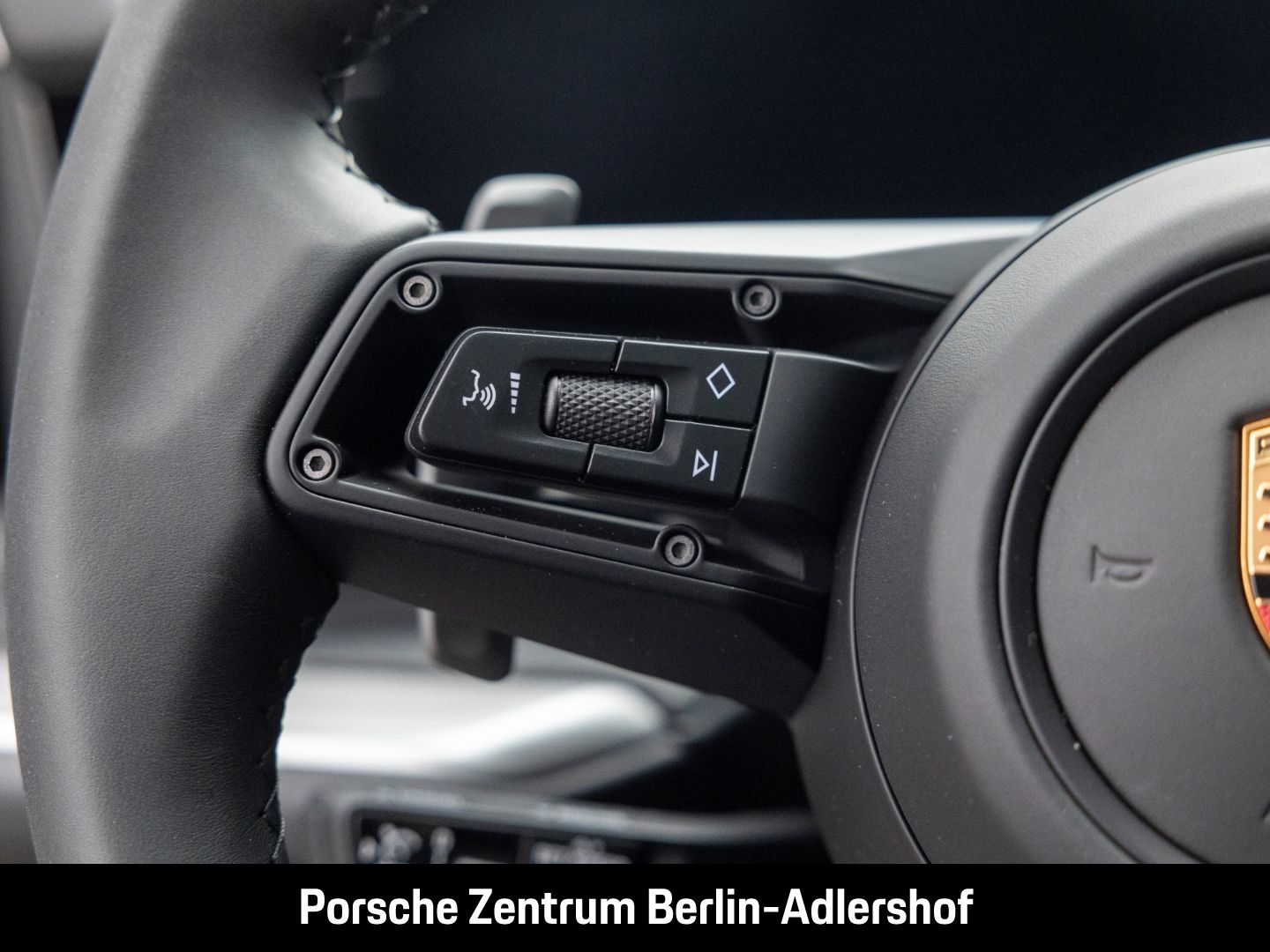 Porsche Cayenne E-Hybrid Sportabgasanlage BOSE 22-Zoll