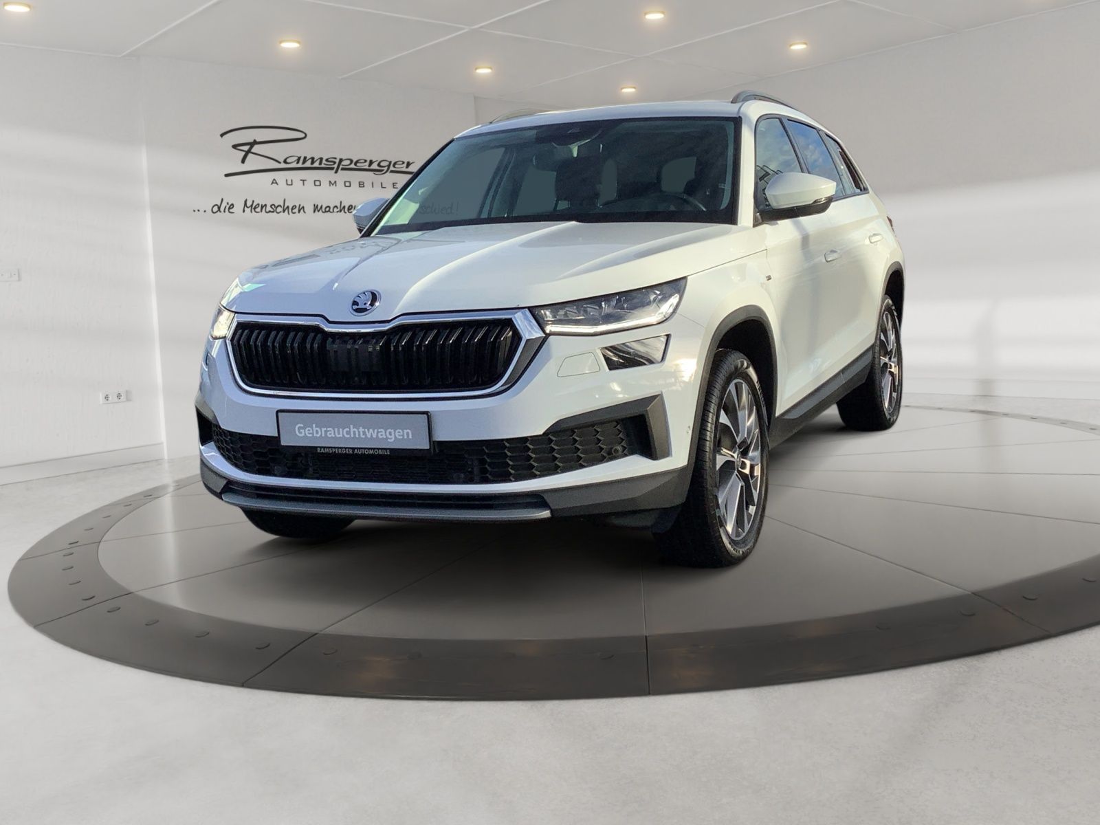 Skoda Kodiaq 2.0 TDI DSG Clever 4x4 AHK Matrix Standh.
