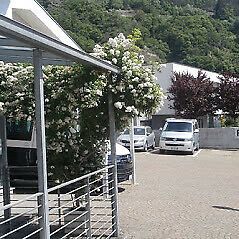 Volkswagen T-Roc 1.5 TSI OPF DSG Life" → "Volkswagen T-Roc 1.5 TSI Life - Samsaru's Car Outlet