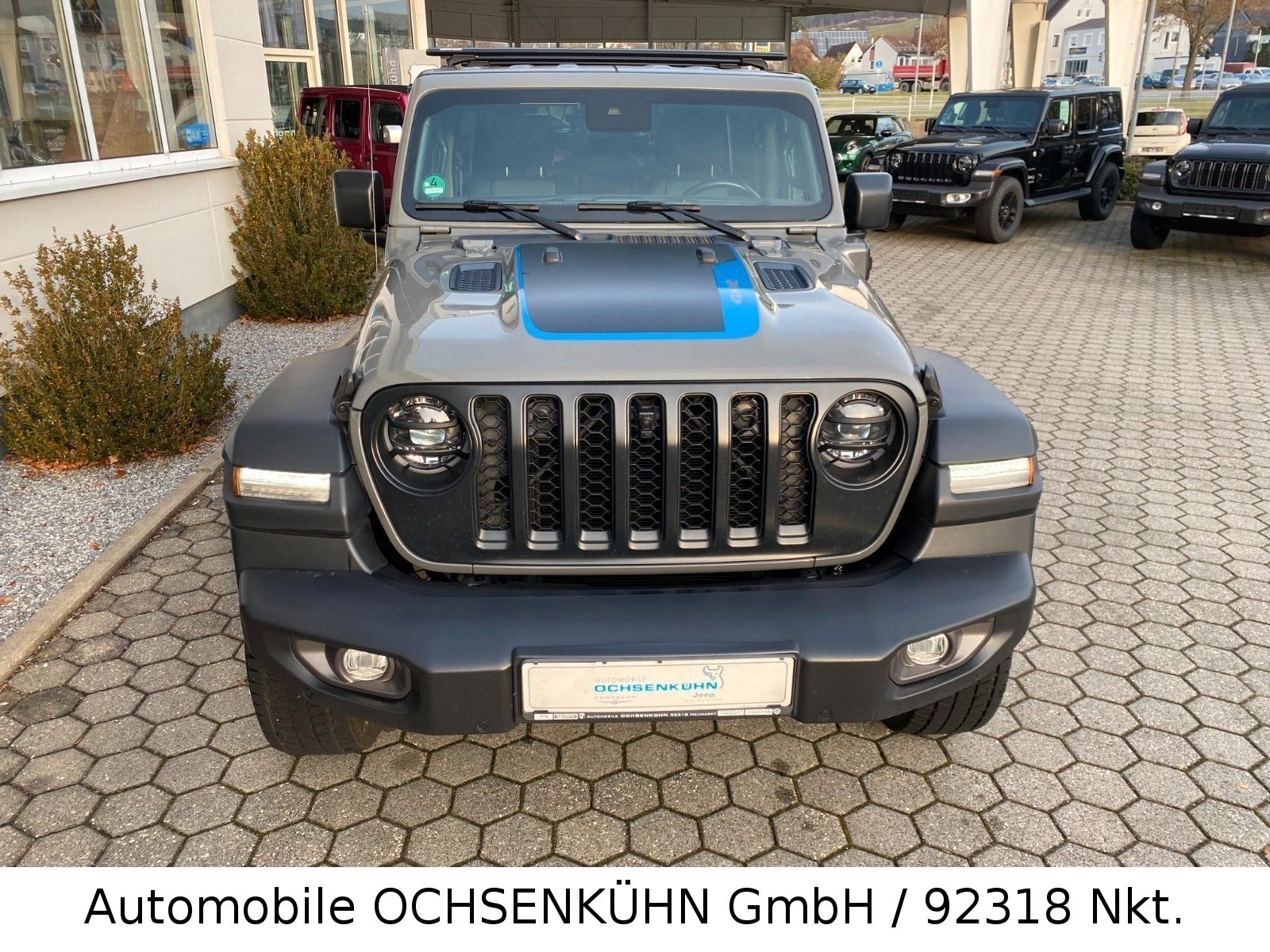 Jeep Wrangler 2.0 4xe Rubicon / Leder, Nav.