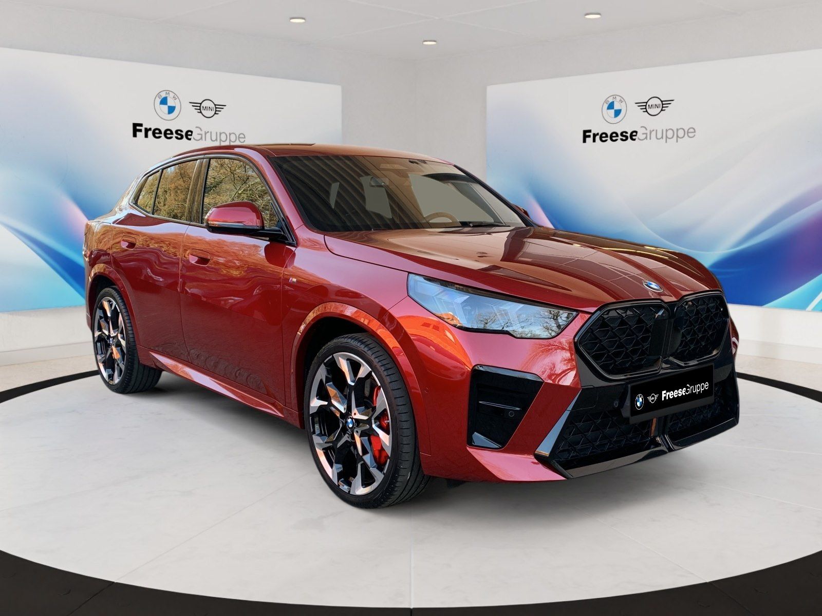 BMW X2 xDrive20d AHK 360° HEAD-UP RFK HIFI XDRIVE BT