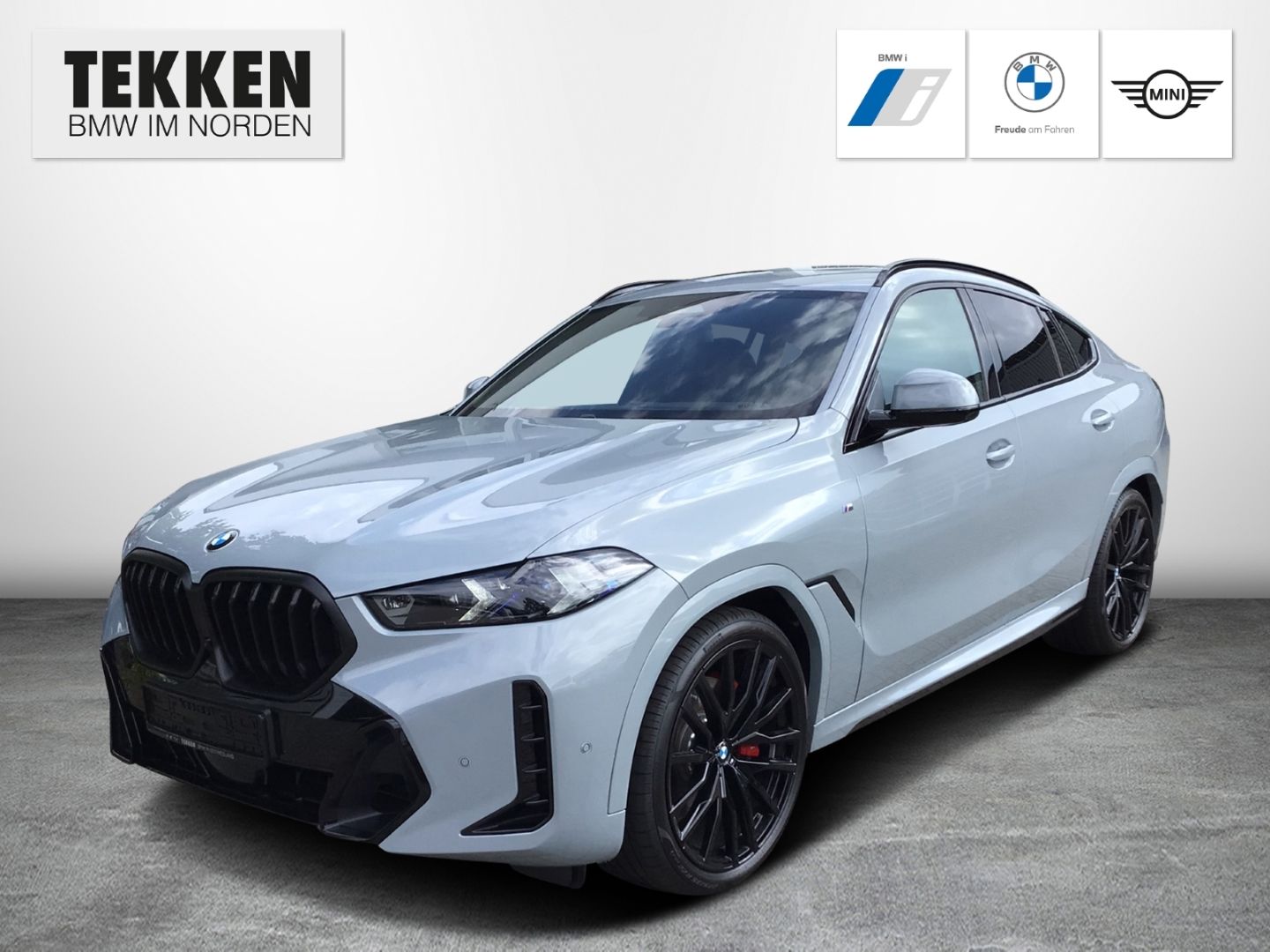 BMW X6 xDrive30d M-Sport Pro AHK/ACC/Luftfed./Massag