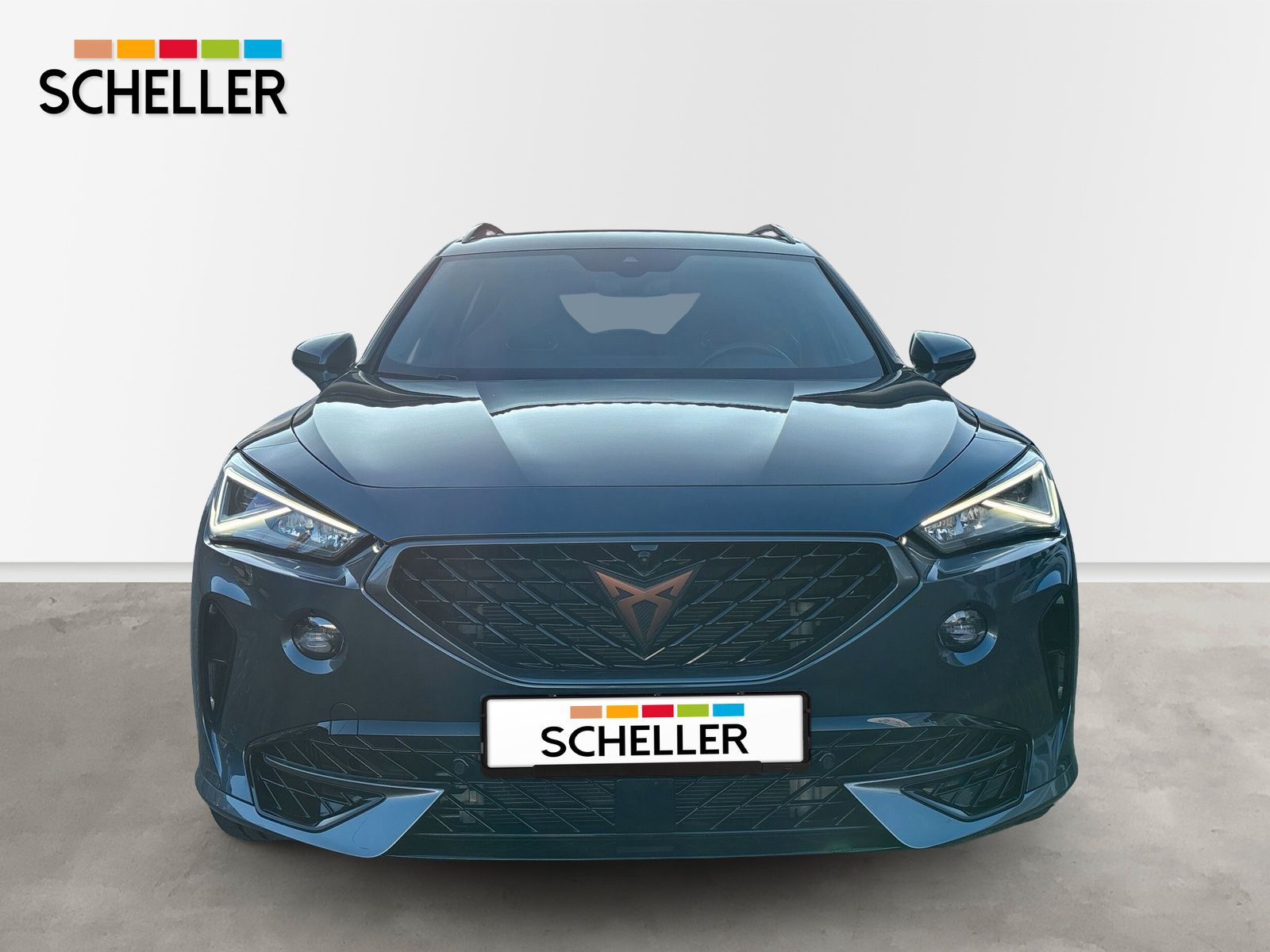 Cupra Formentor VZ 4Drive 2.0 TSI DSG *AHK*PANO*BEATS*