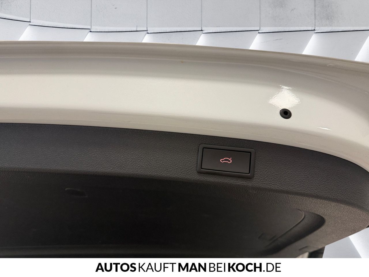 Skoda Kodiaq 2.0 TDI DSG 4x4 Sportline PANO AHK CANTON