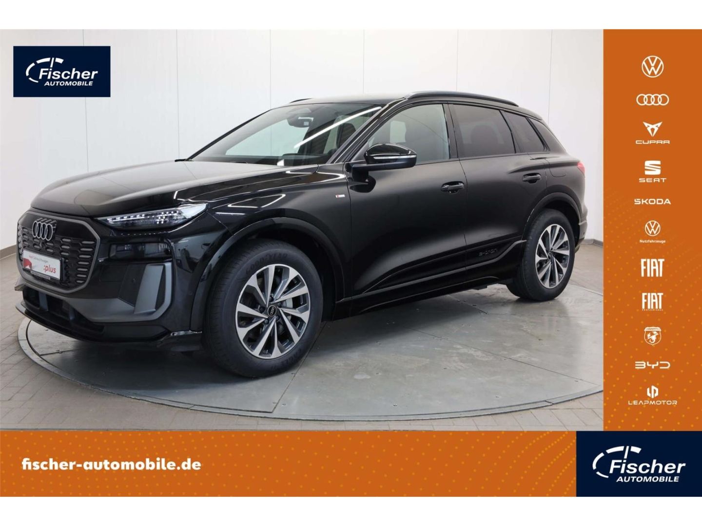 Audi Q6 e-tron quattro S line AHK/Bei.Dis/Matrix/360