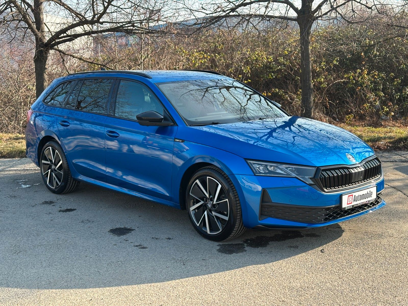 Skoda 2.0TSi 4x4 Sportline NAVI KAMERA eHK LM18"AHK