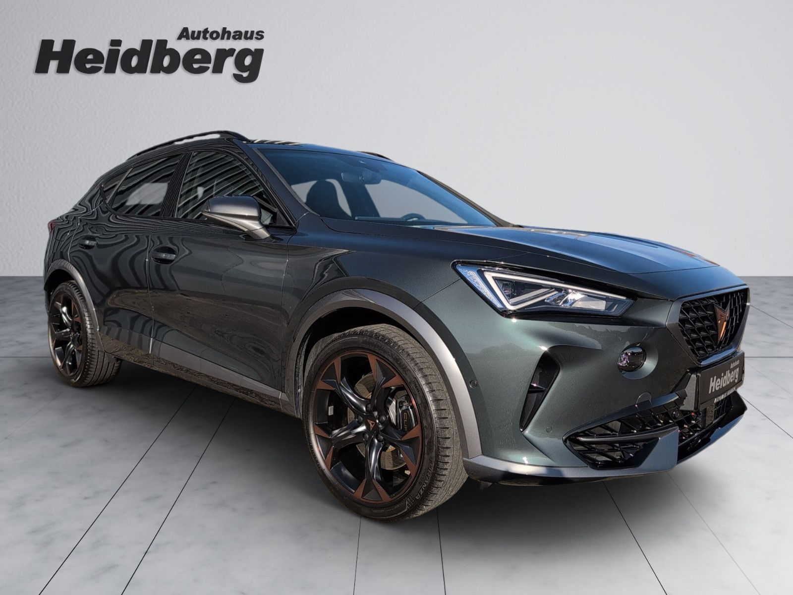 Cupra Formentor 2.0 TSI VZ AHK PANO LEDER CUP COPPER
