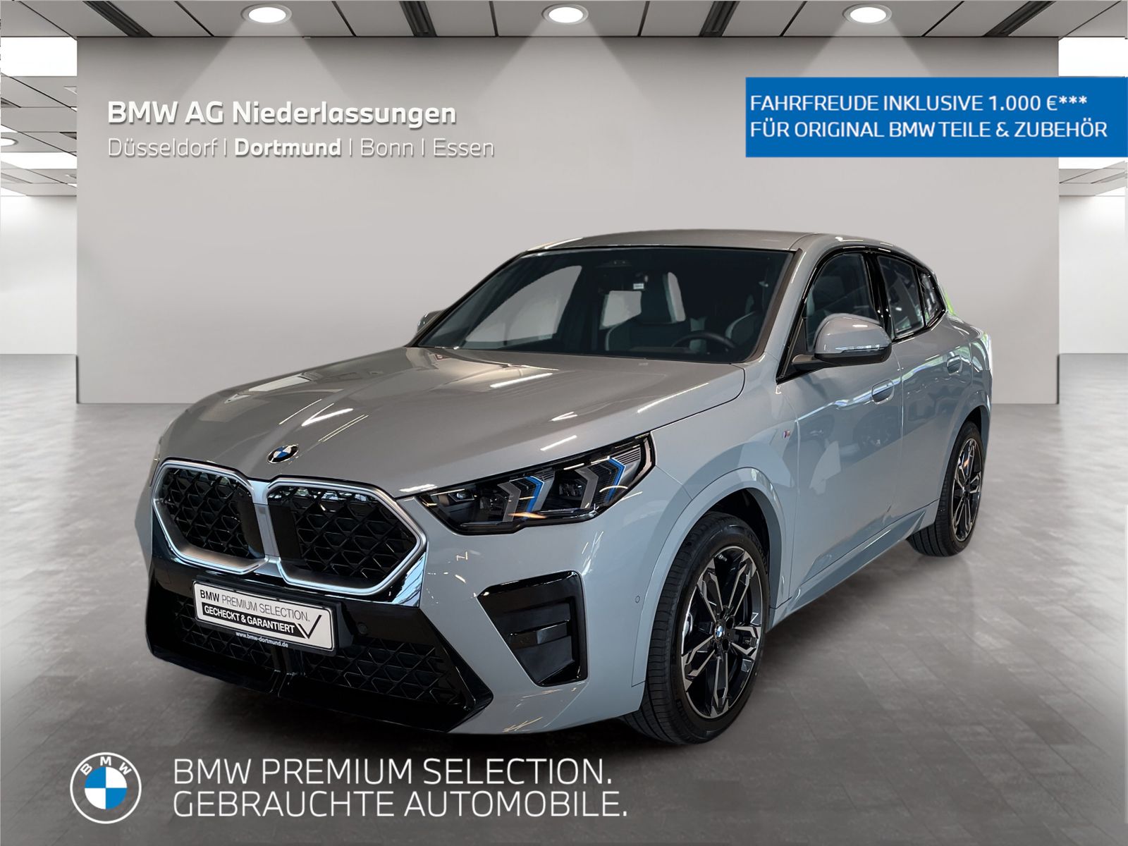 BMW X2 xDrive20d M Sport AHK Driv.Assist+ Head-Up