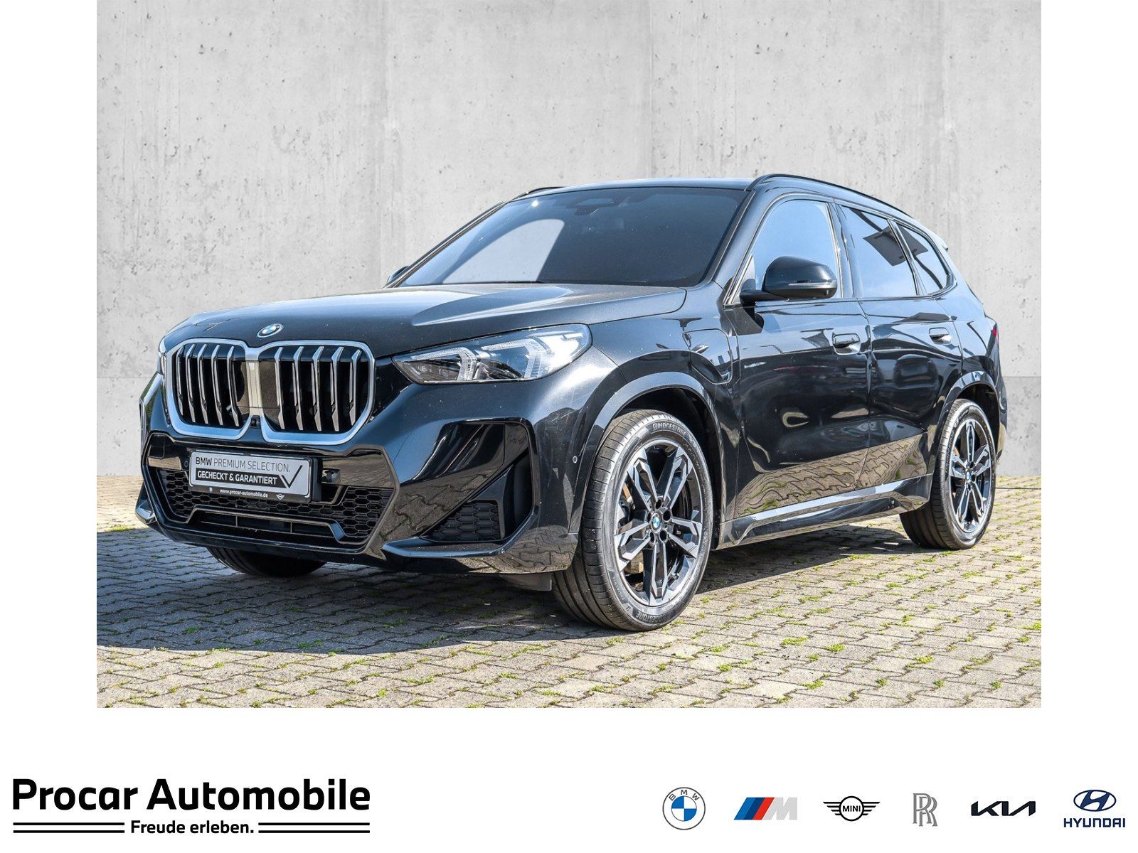 BMW X1 xDrive30e M Sport Pano AHK DA Prof. HuD PA+ H
