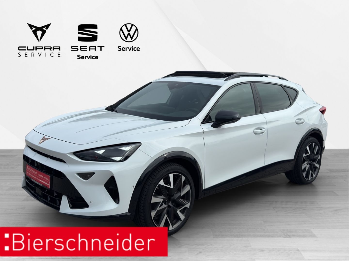 Cupra Formentor VZ 4Drive DSG PANO  AHK MATRIX | INTEL