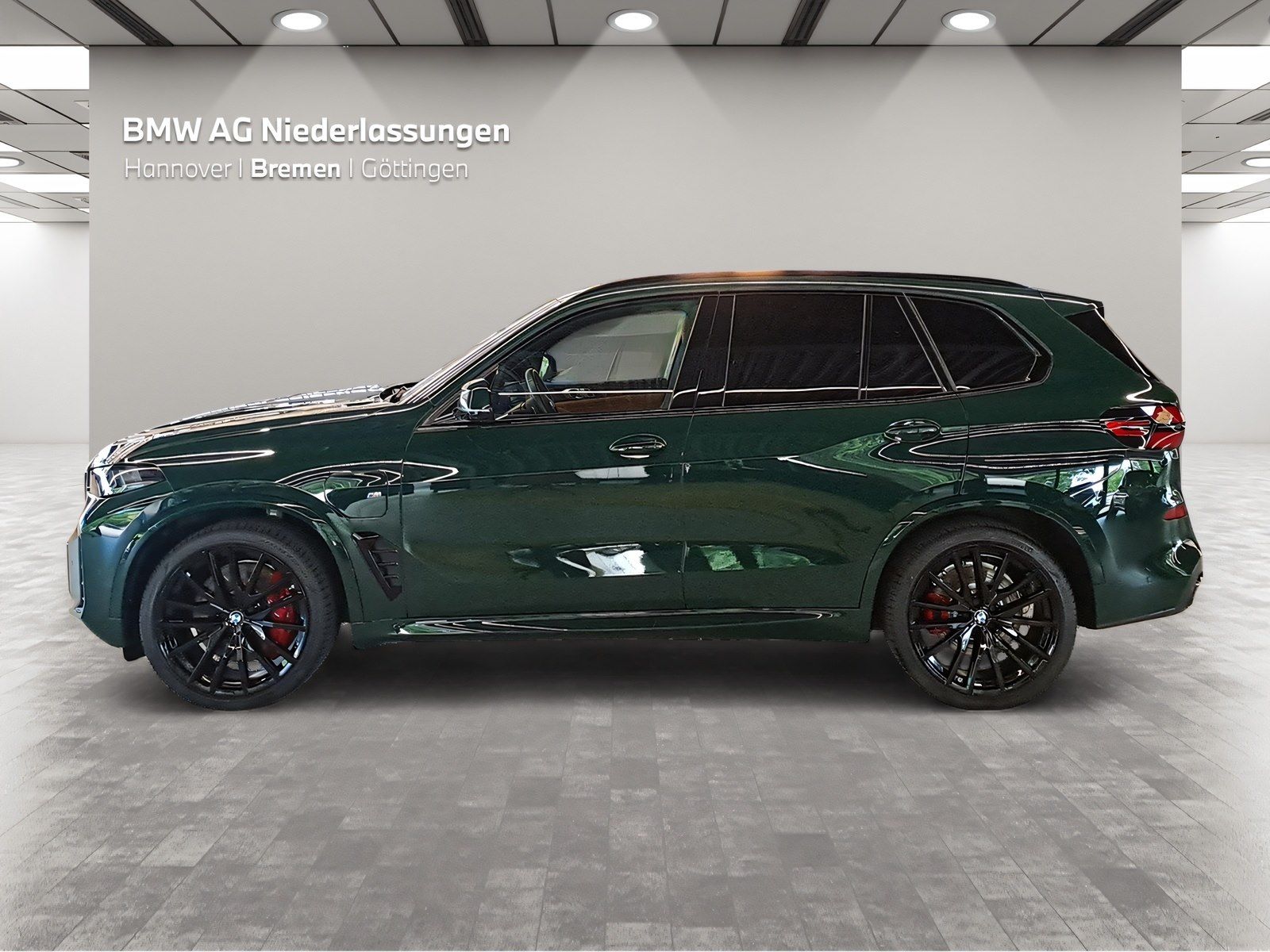 BMW X5 xDrive50e M Sport AHK Driv.Assist.Prof LED Wi