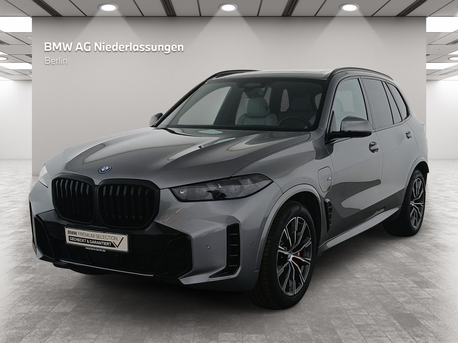 BMW X5 xDrive50e M Sport AHK Driv.Assist.Pr. AHK GSD