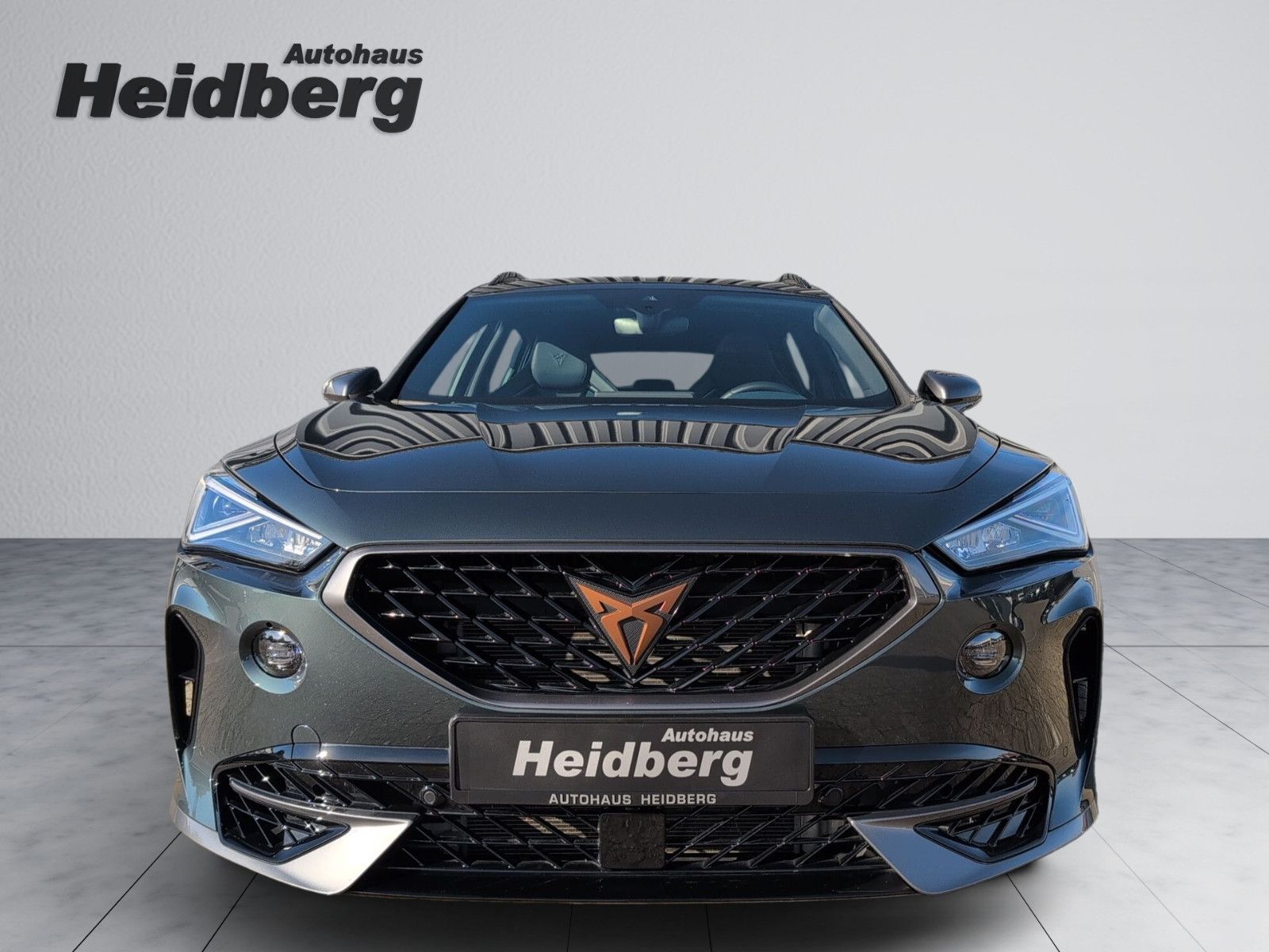Cupra Formentor 2.0 TSI VZ AHK PANO LEDER CUP COPPER