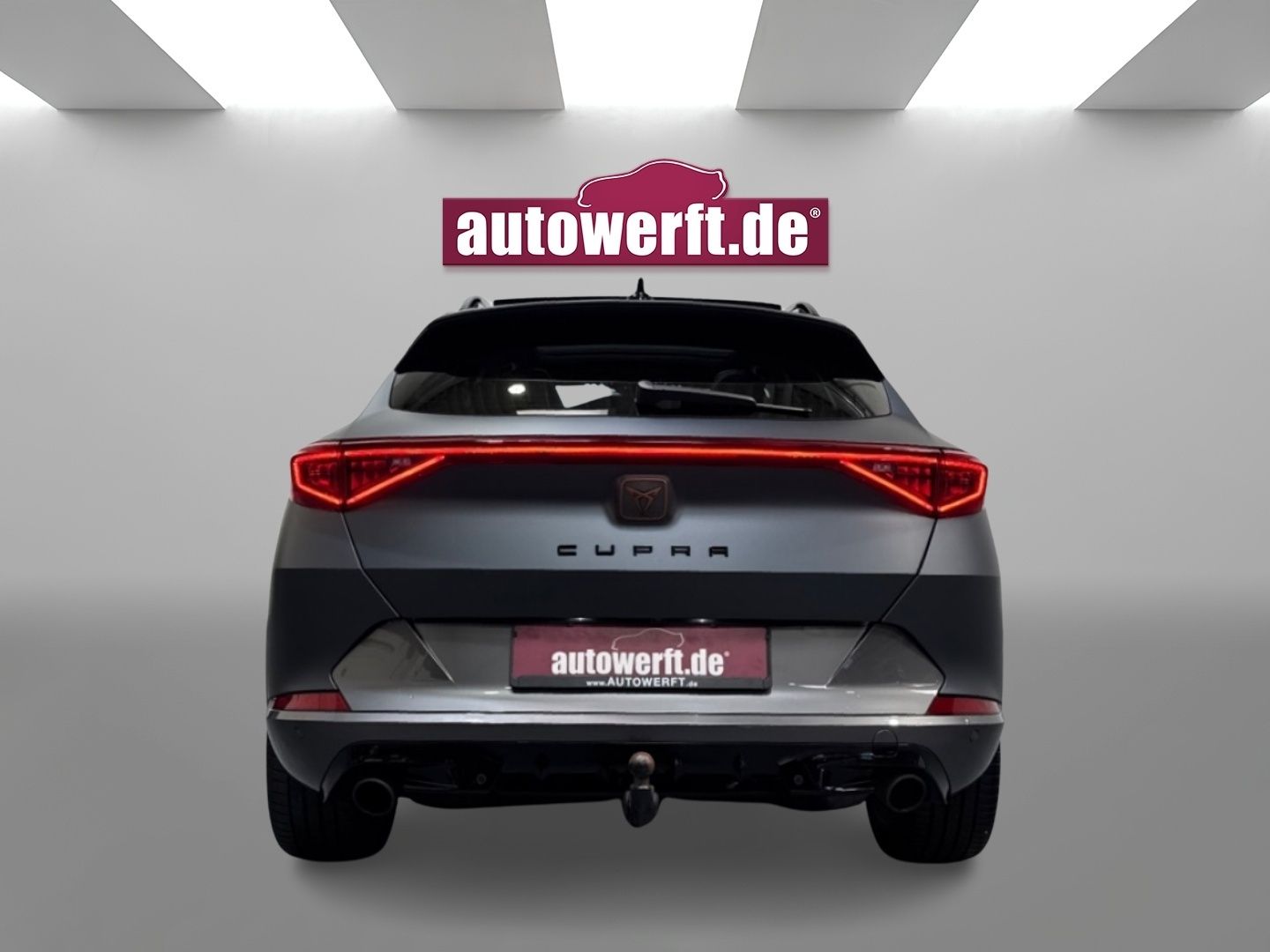 Cupra Formentor 2.0 TSI VZ MATT PANO AHK CAM BEATS 5J.