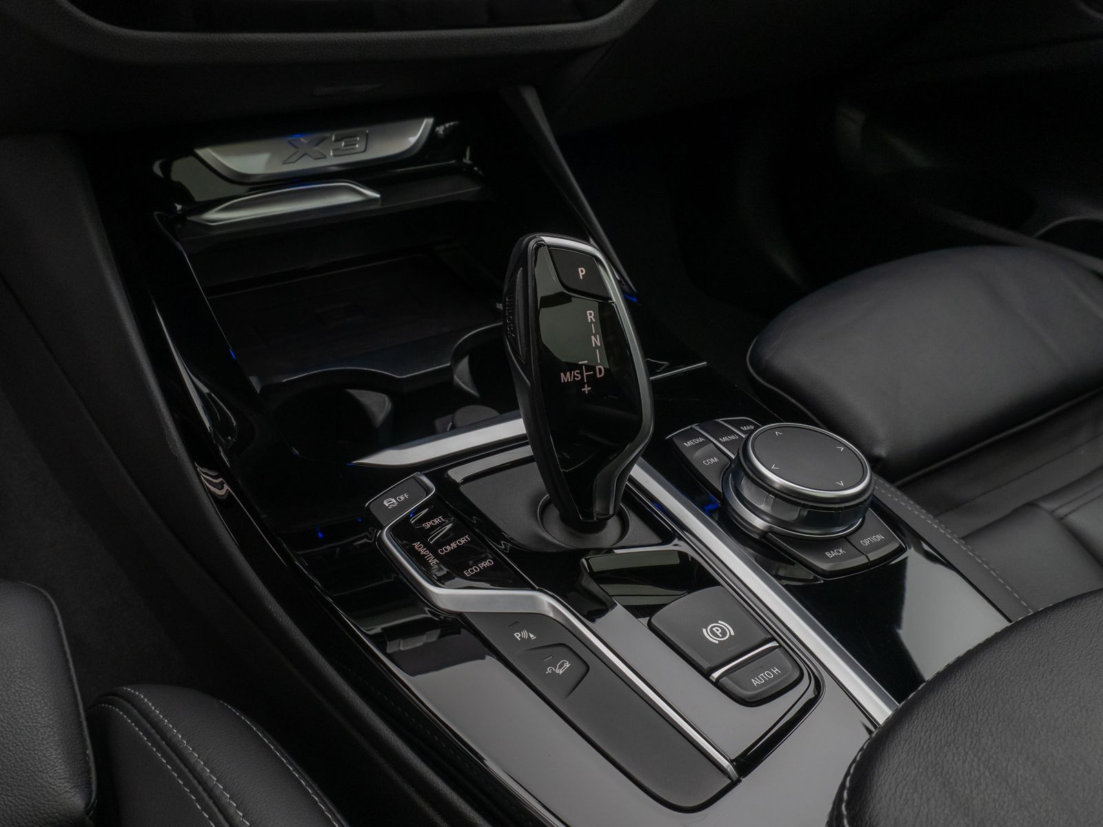 BMW X3 xD30d M Sport Panorama Kamera DAB HiFi DisKey