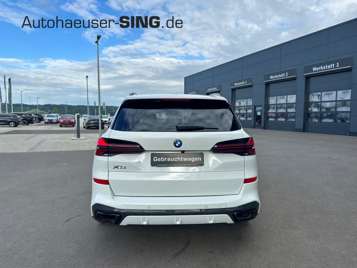 BMW X5 50 e xDrive M Sport HeadUP  Ambiente ACC