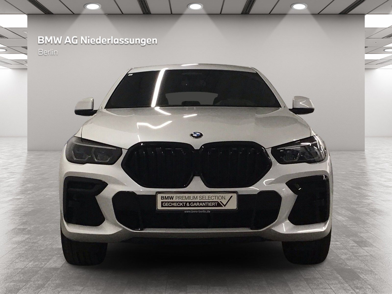 BMW X6 xDrive40d M Sport Driv.Assist.Prof Harman/K