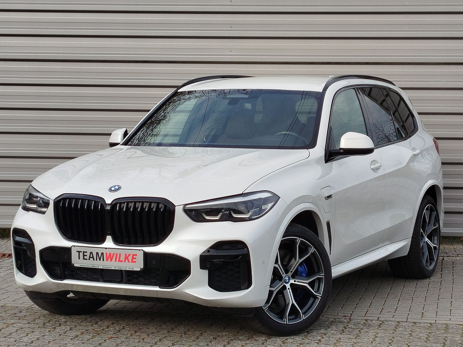 BMW X5 XDrive 45e M Sport AHZ DAB KAM Winterräder
