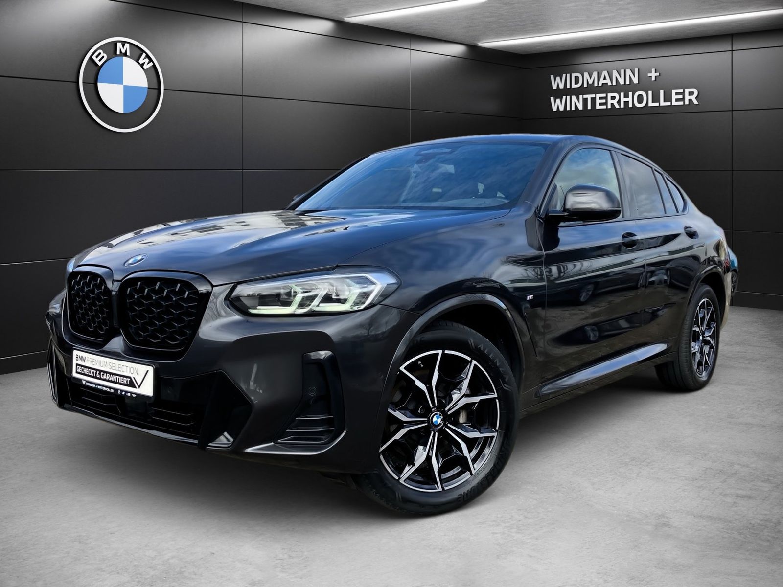 BMW X4 xDrive30d M Sport Pano DA Prof. AHK STH PA