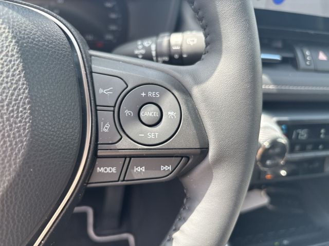 Toyota RAV 4 Hybrid Team Deutschland Sitzheizung - Temp