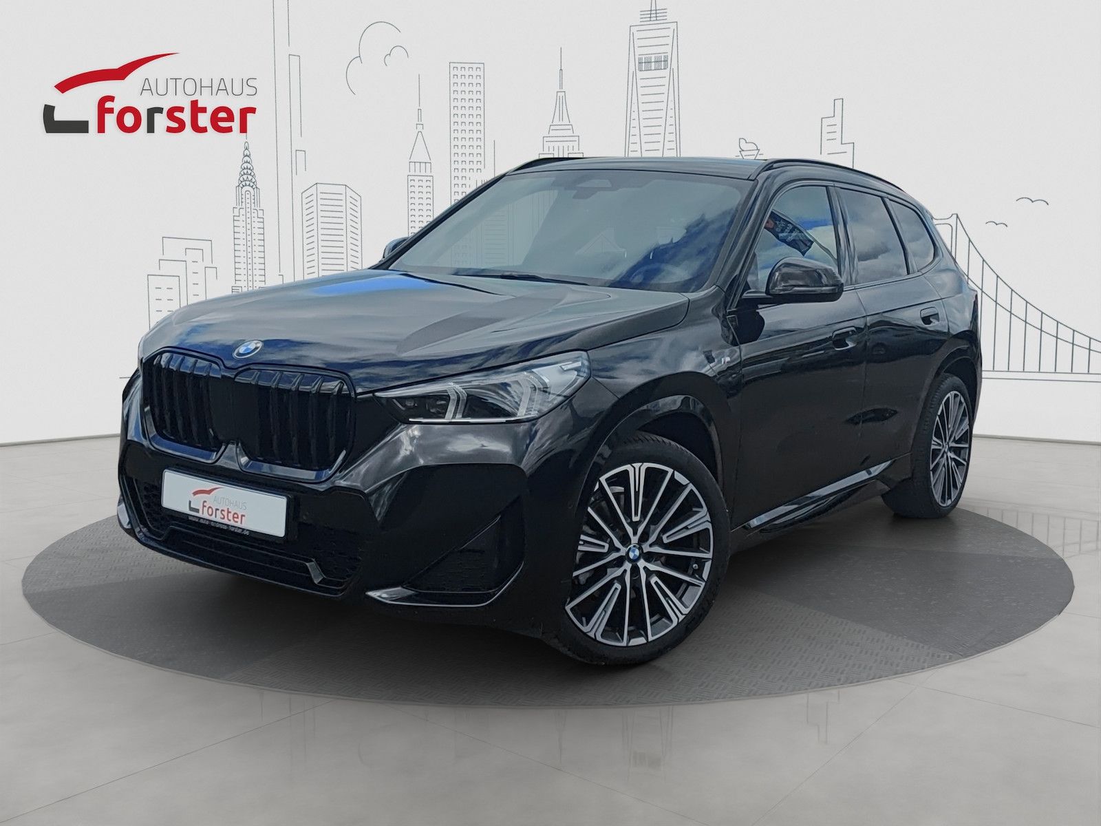 BMW X1 23d xDrive M Sport AHK ACC adapt. LED