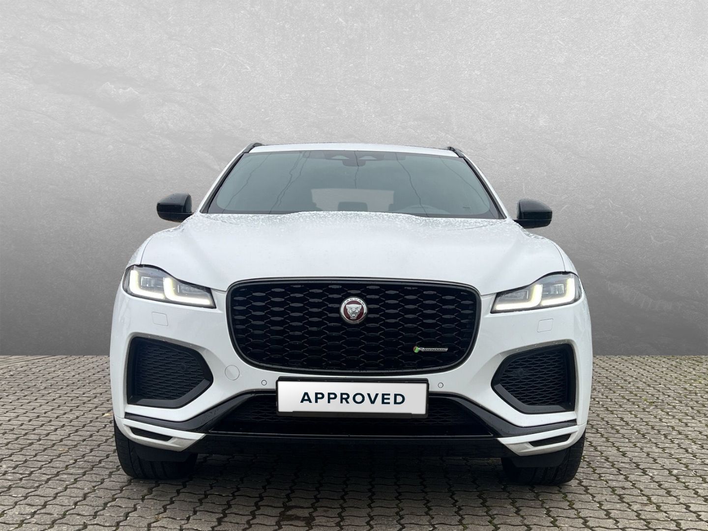 Jaguar F-Pace D300 R-Dynamic Black *PanoSD*