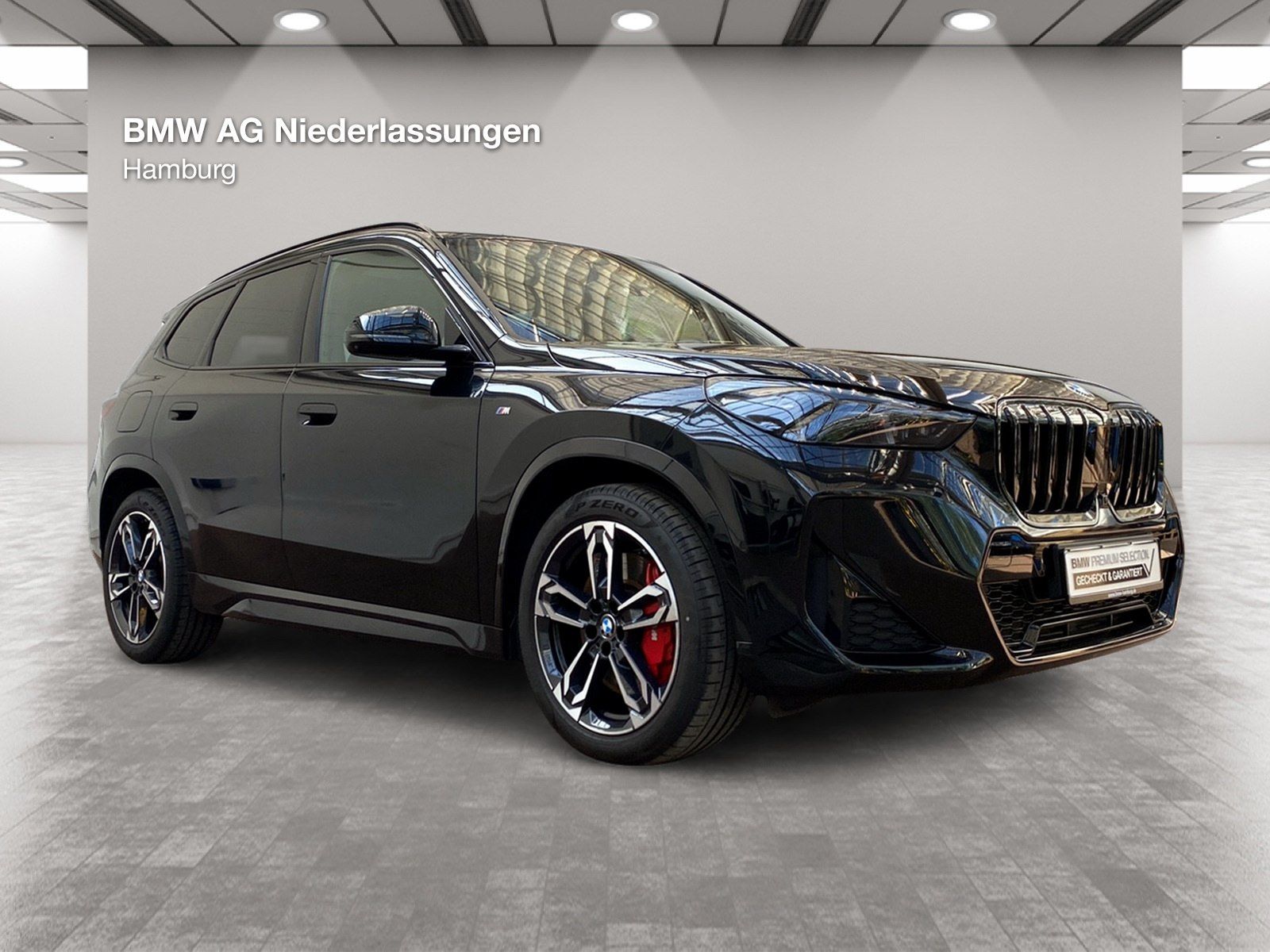 BMW X1 xDrive20d M Sport Leder AHK Driv.Assist+ Harm