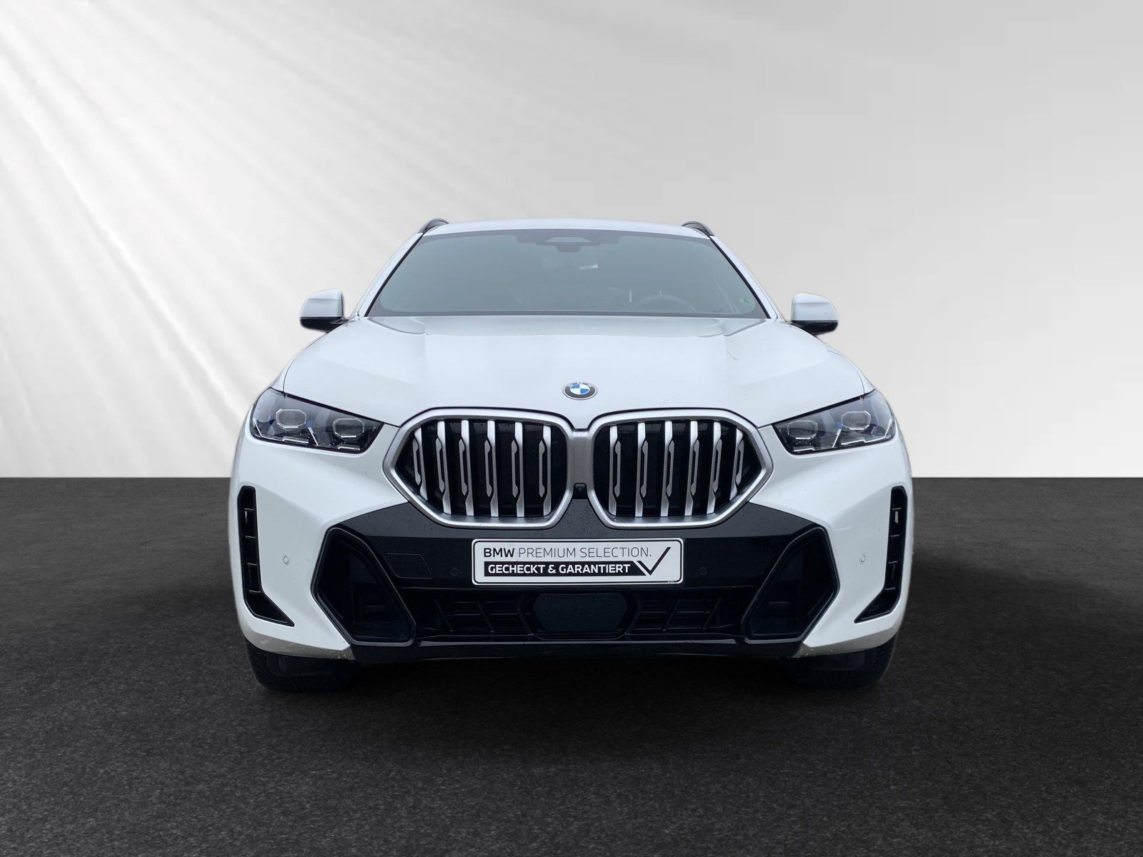 BMW X6 xDrive40d M Sport|AHK|SkyLounge|Standhzg.|H/K