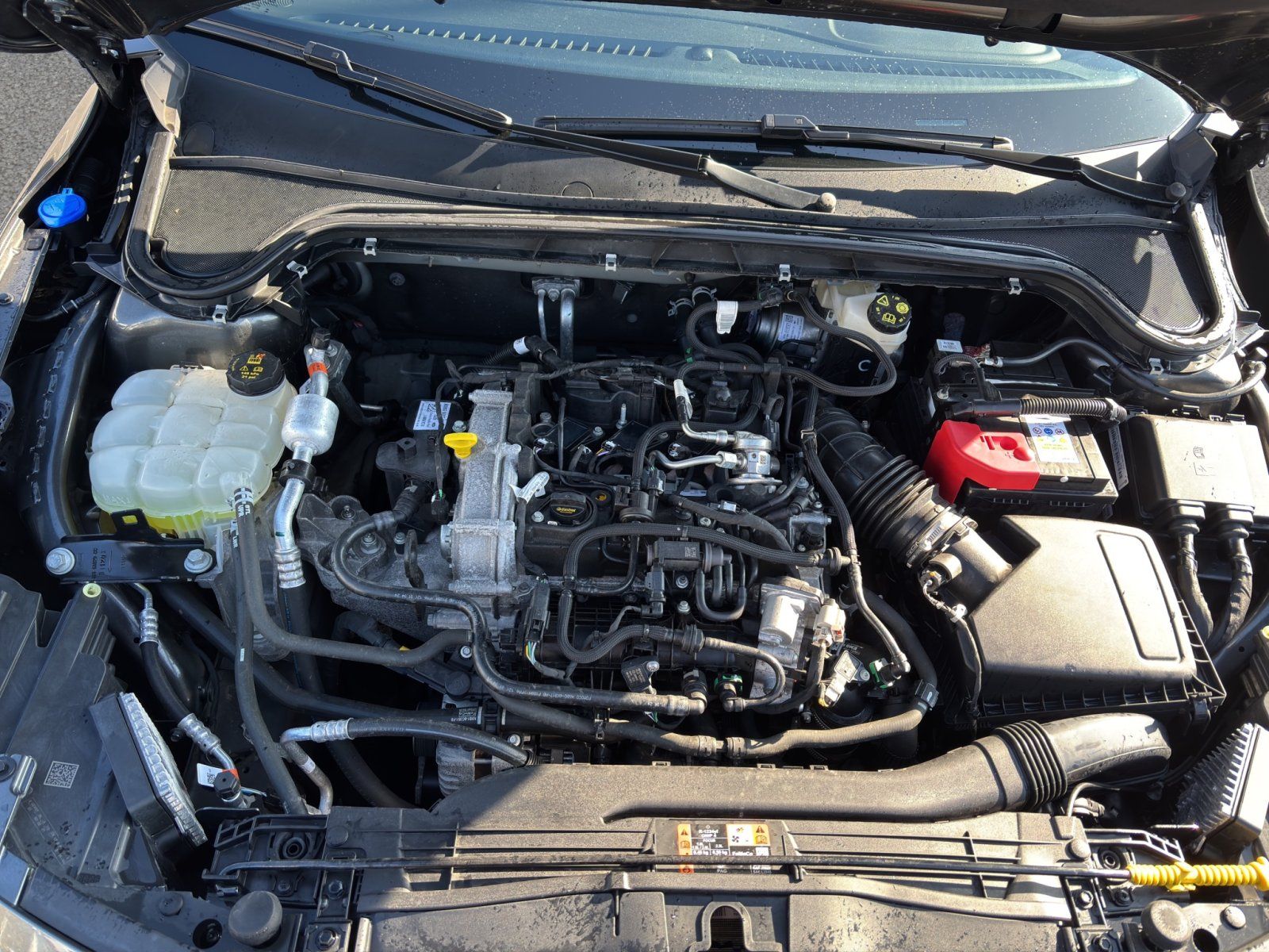Ford Focus 1.0 Ecoboost ST-Line X #Winterpaket
