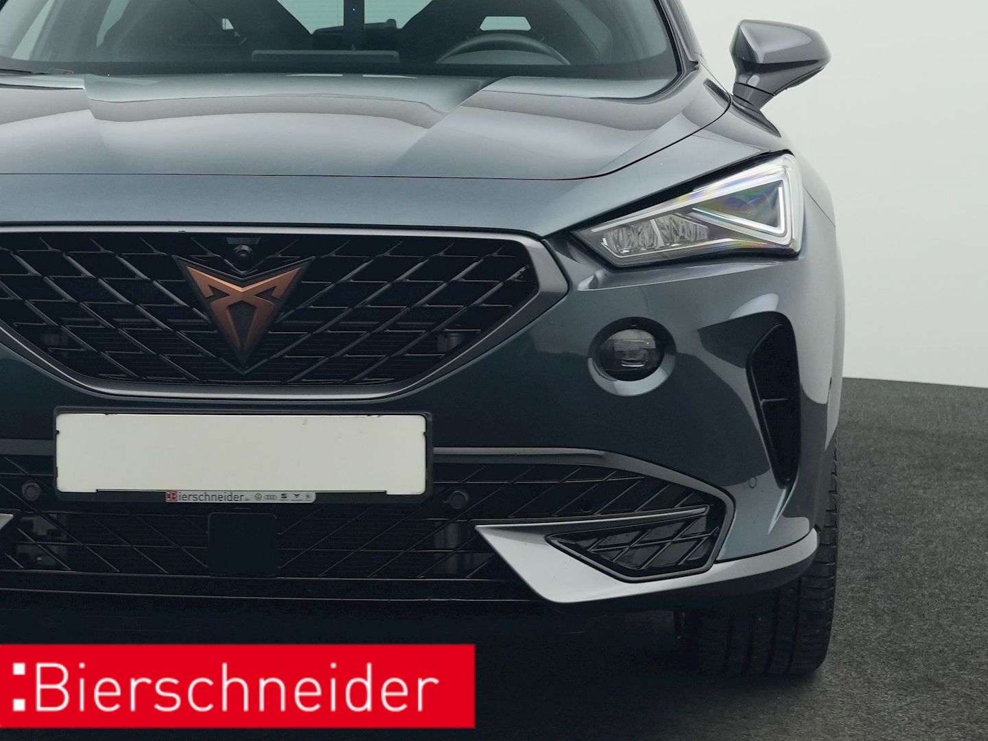 Cupra Formentor 2.0 TSI DSG 4Dr. VZ PANO AHK 360 eHECK