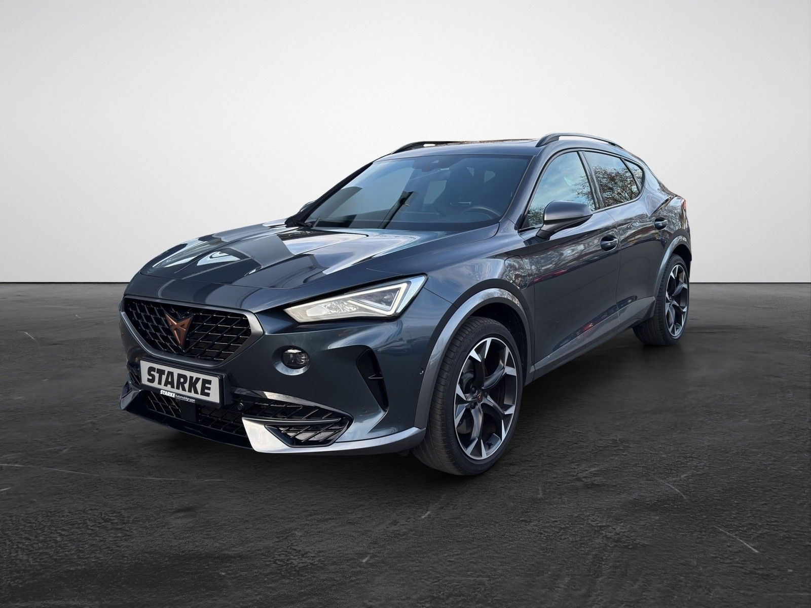 Cupra Formentor VZ 1.4 TSI DSG eHybrid  Panodach AHK N