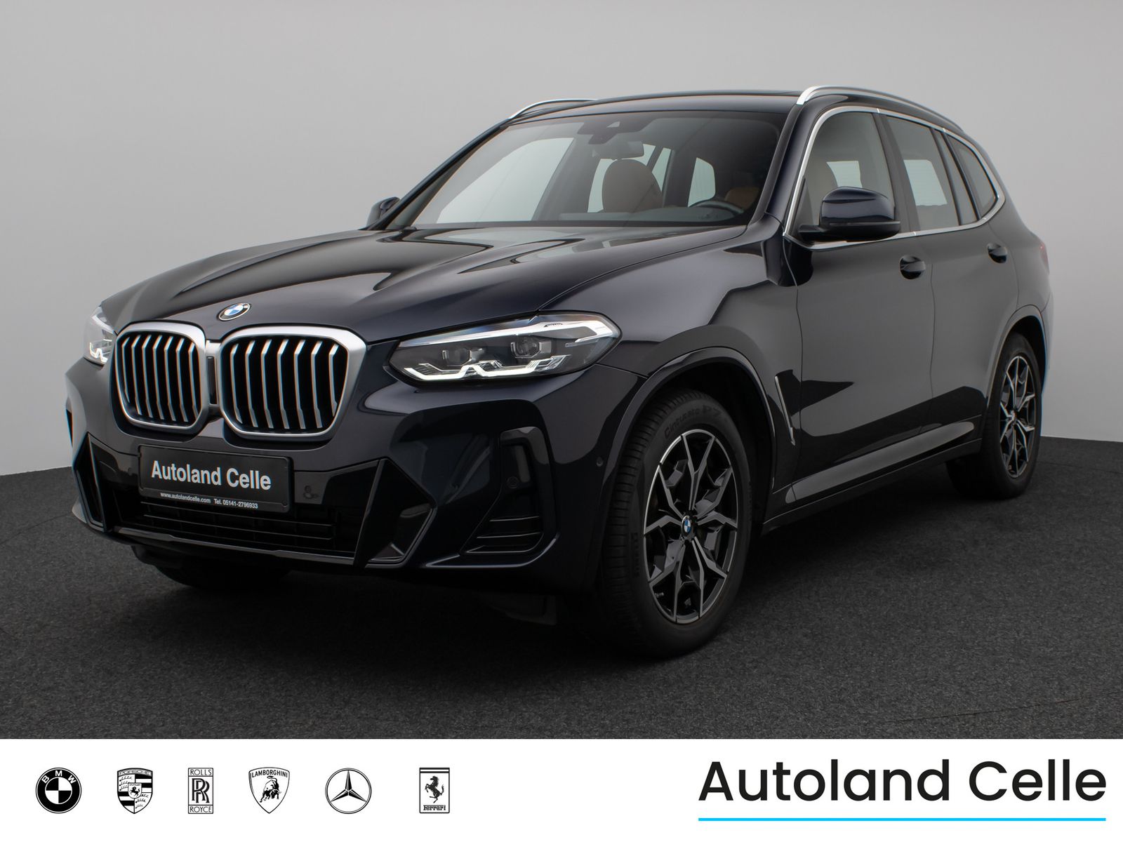 BMW X3 xD30i M Sport Panorama Kamera DAB HiFi Alarm