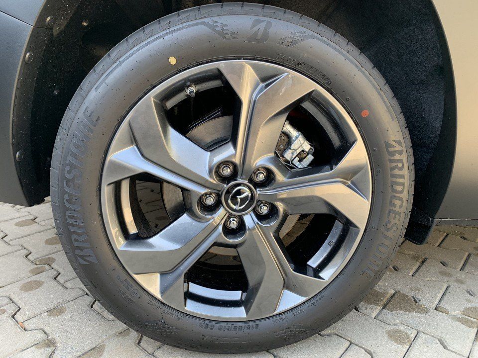 Mazda MX-30 BEV MAKOTO VOLLAUSSTATTUNG SCHIEBEDACH