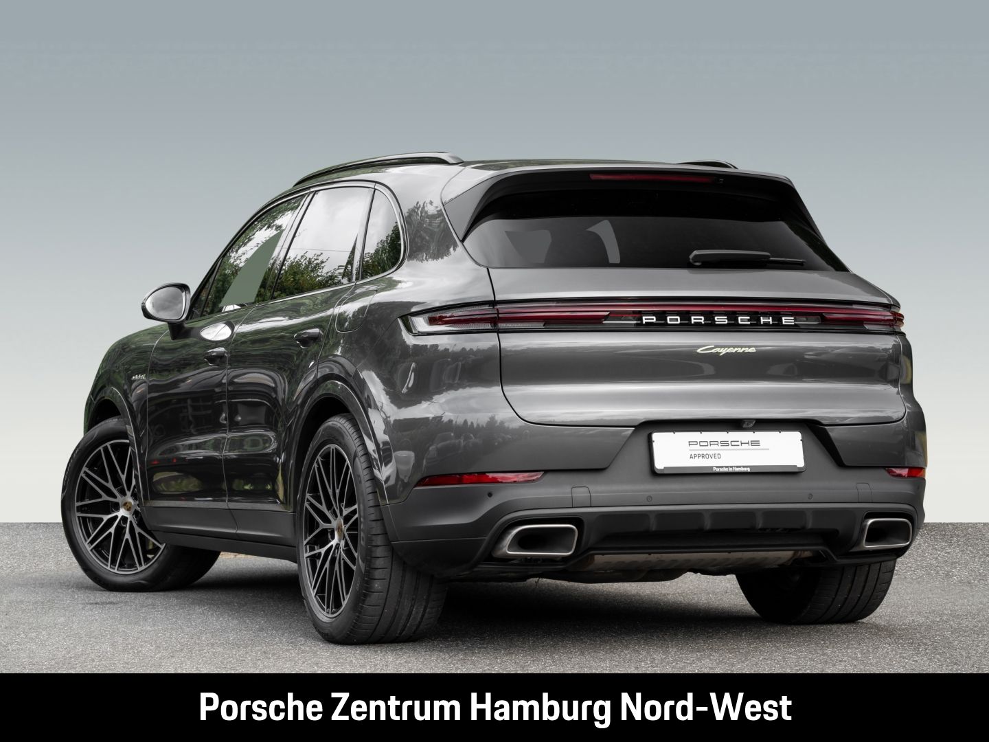 Porsche Cayenne E-Hybrid Panoramadach PASM BOSE ACC 360°