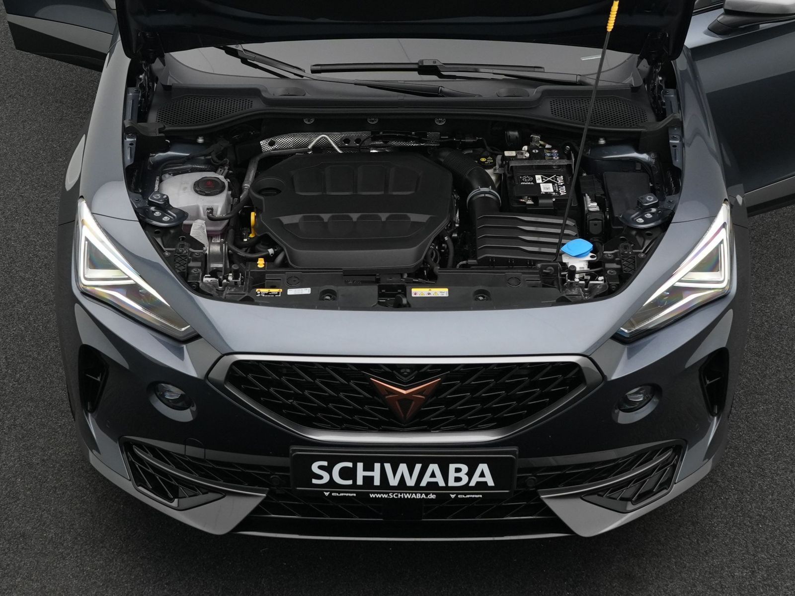 Cupra Formentor VZ 2.0 TSI 4Drive DSG *ACC*AHK*PANO*19